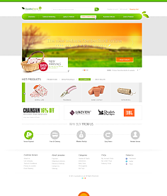 网页与网站设计 构建数字世界的艺术与科学