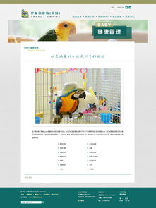 打造贴心体验 宠物用品网站的设计要点与趋势